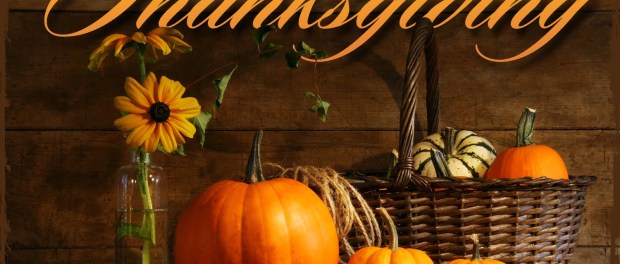sf_happyThanksgiving3_02